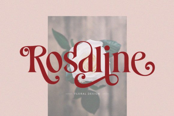 Costa Nova Font - Preview 5