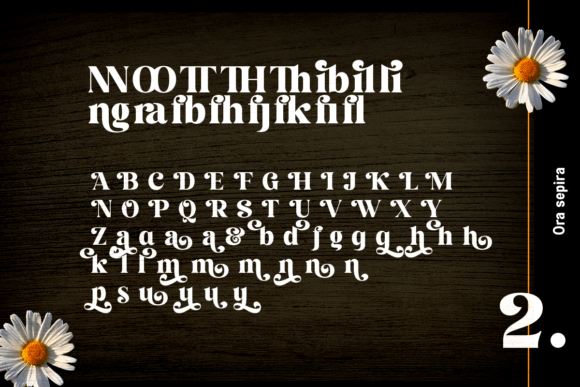Ora Sepira Font PNG with transparent background - Preview 5