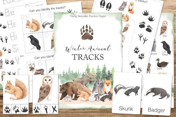 Winter Animal Tracks Unit Study Graphic K By Larysa Zabrotskaya