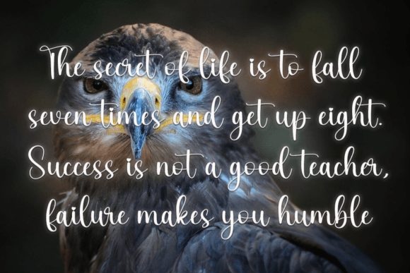 Bird Font - Preview 4