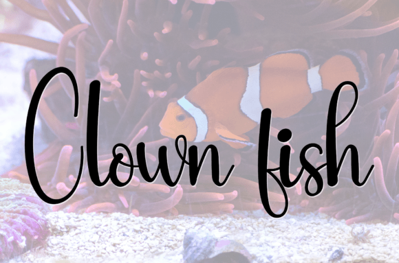 Evening Font - Preview 2