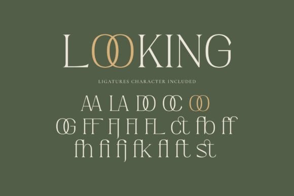 Hiden Certon Font font preview - 3