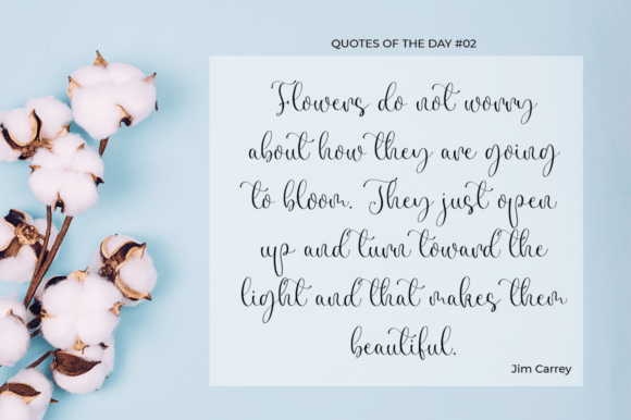 Sacharine Font PNG with transparent background - Preview 3