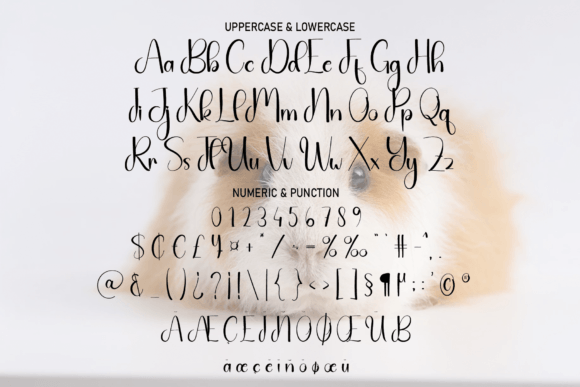 Amster Night Font - Preview 6