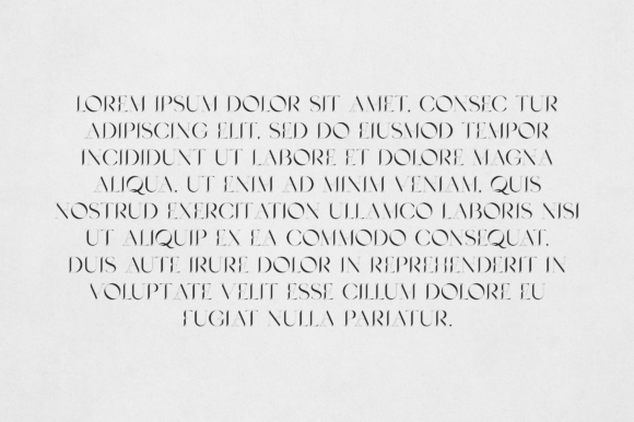 Abelia Font - Preview 2