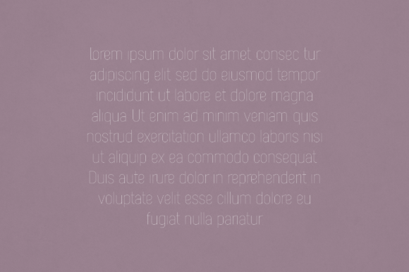 Anemone Font - Preview 2