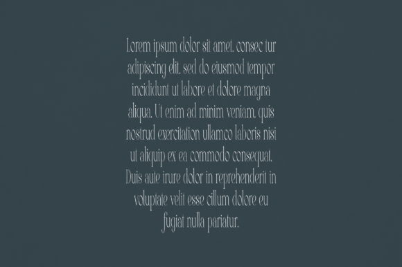 Birch Font - Preview 2