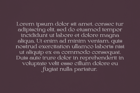 Bloom Font - Preview 2