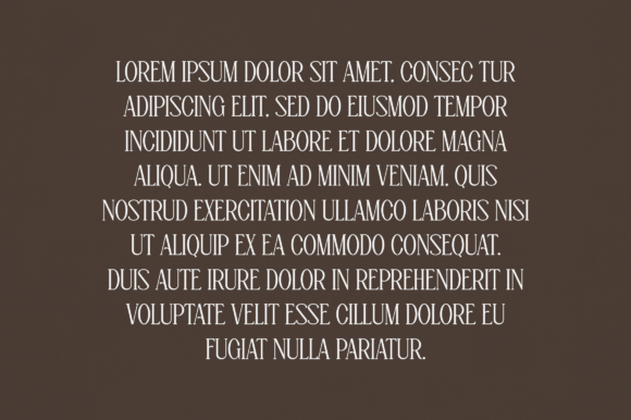 Calyx Font - Preview 2