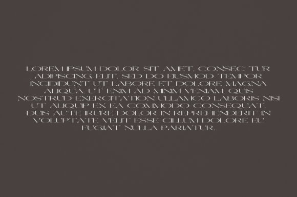Coriander Font - Preview 2