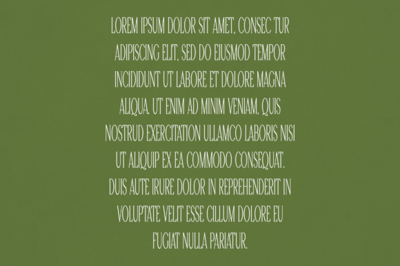 Damon Font - Preview 2
