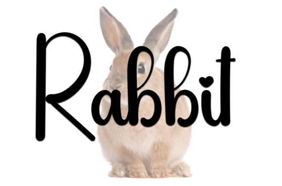 Bulbous Font - Preview 1