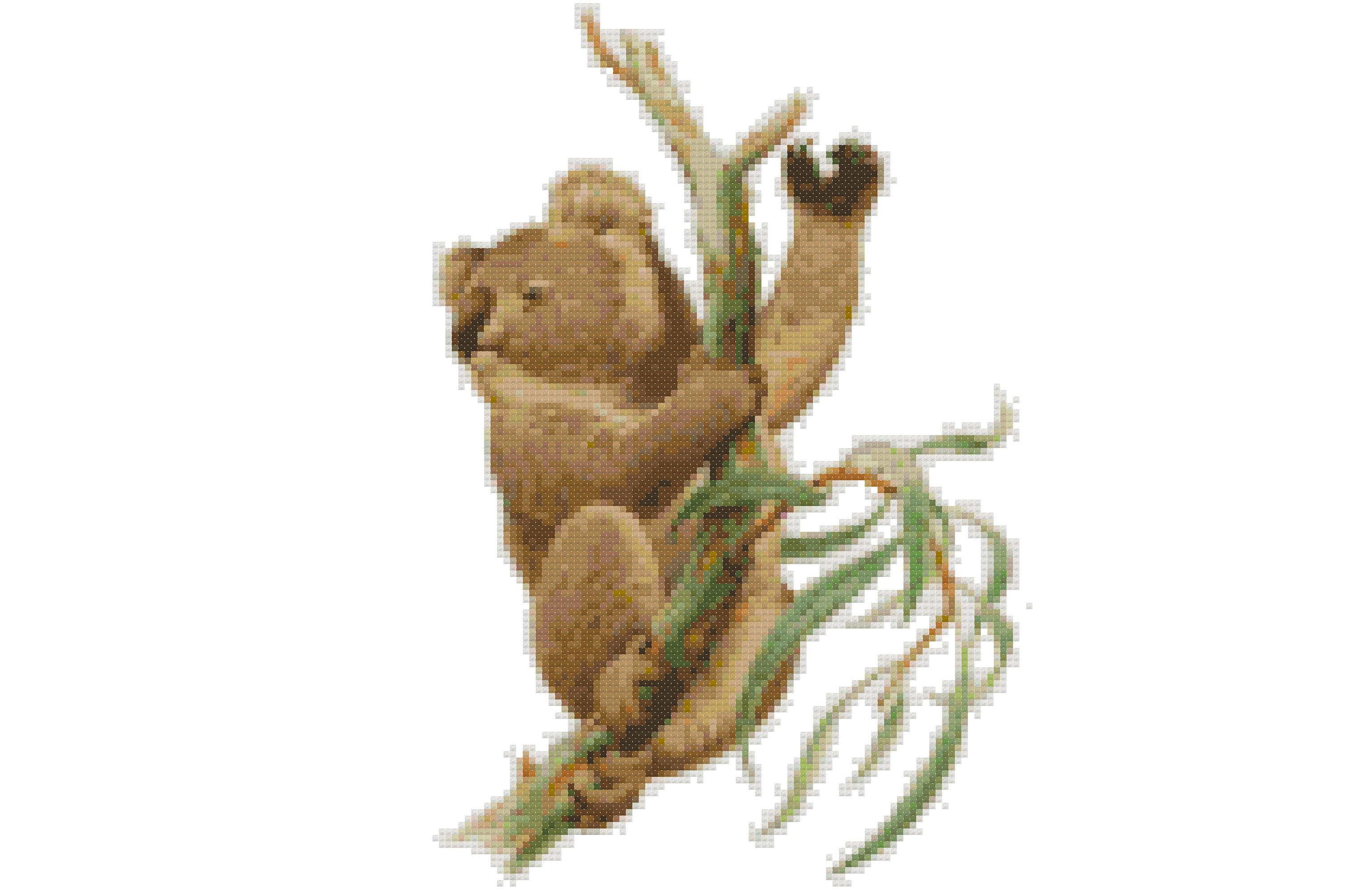 Cross Stitch Pattern/ Koala-gum Leaves 2