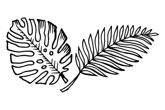 Tropical Leaves Drawing. Monstera Sketch Graphic by onyxproj  Creative  Fabrica