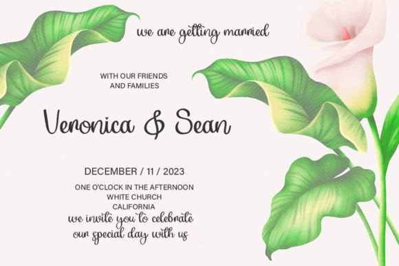 Beautiful Font - Preview 1