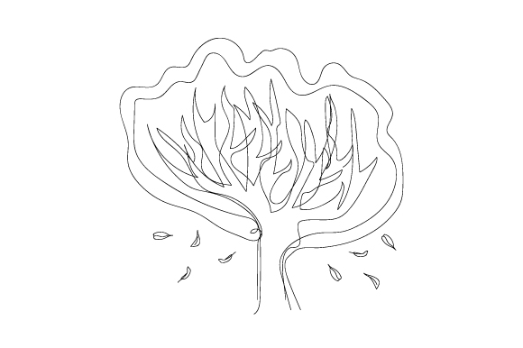 Autumn Leaves Falling from the Tree