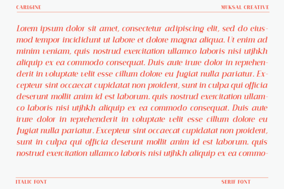 Carlgine Font - Preview 5