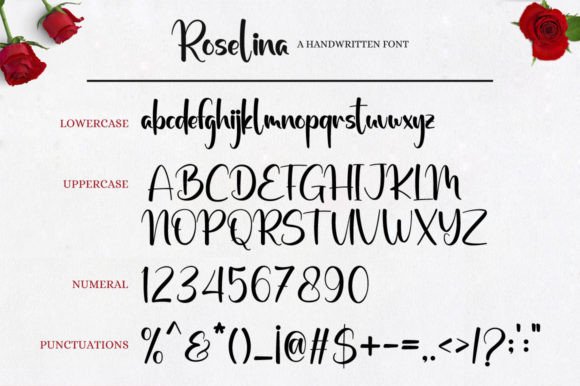 Roselina Font PNG with transparent background - Preview 6