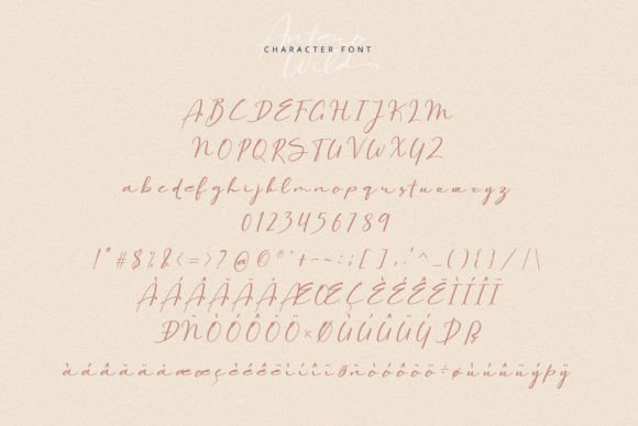Antero Wild Font - Preview 5