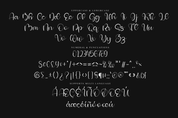 Blanket Signature Font - Preview 5
