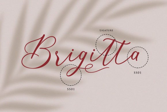 Brietta Font - Preview 5