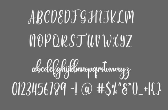 Notebook Planner Font PNG with transparent background - Preview 3