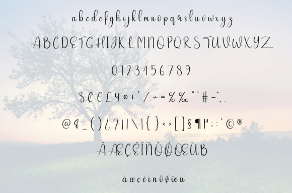 Barbecue Font - Preview 5