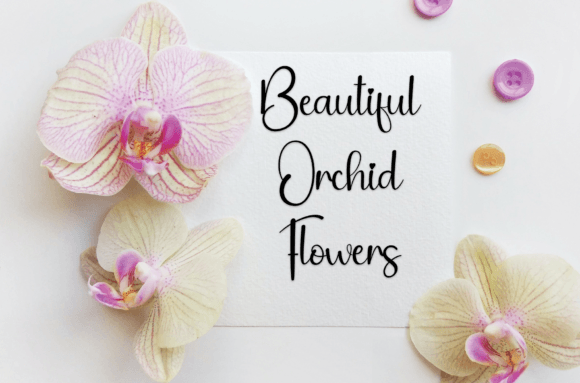 Barbie Font - Preview 1
