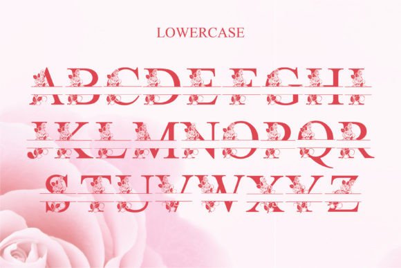 Rose Beauty Monogram Font PNG with transparent background - Preview 3