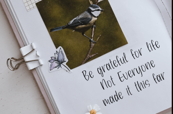 Seriously Imagine Font PNG with transparent background - Preview 3