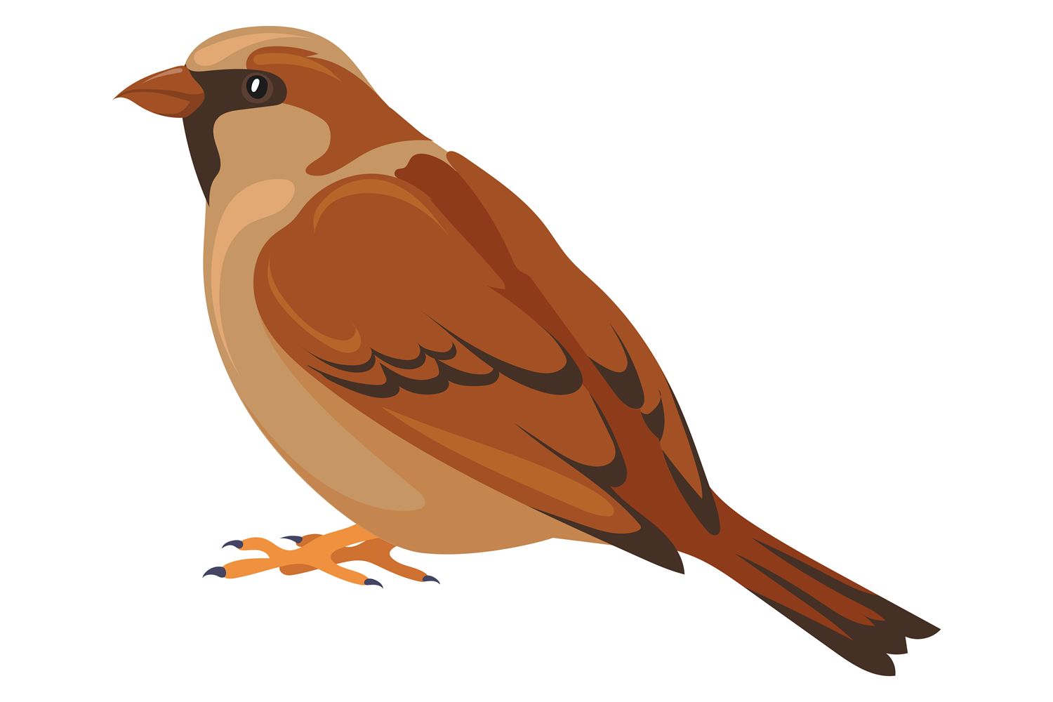 Sparrow Color Icon. Wildlife Animal. Nat Graphic by smartstartstocker ...