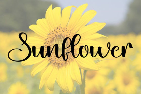 Little Beach Font PNG with transparent background - Preview 1
