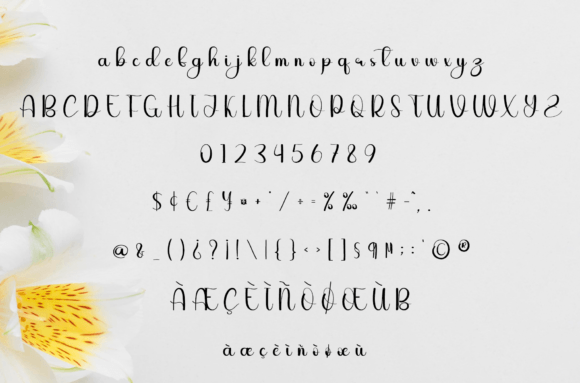 Rose Pink Font PNG with transparent background - Preview 5