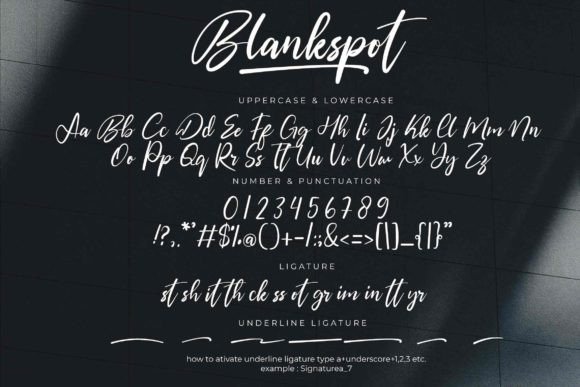 Blankspot Font - Preview 5
