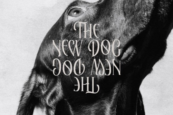 Elaphoras Font - Preview 5