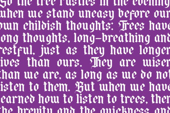 Franchek Font - Preview 3