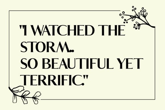 Felicity Font - Preview 2