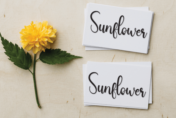 Feminine Font PNG with transparent background - Preview 2