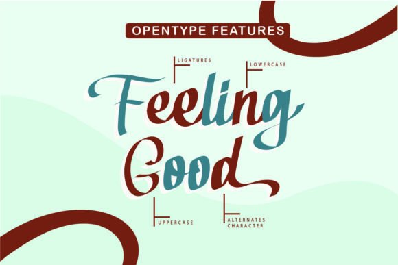 Kamellia Font font preview - 4