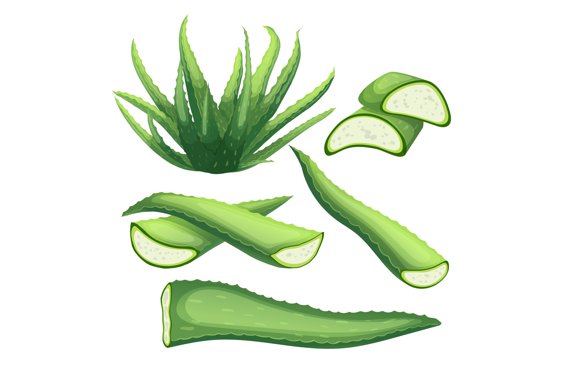 aloe vera gel fr haarwachstum Aloe Vera Gel  Verwhnen Sie Ihre Haut mit einem pflegenden Gel