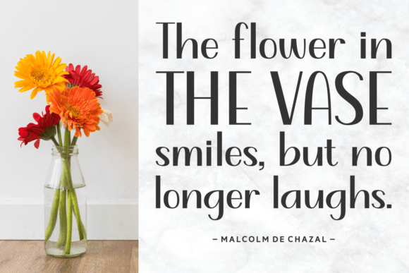 Evening Inspiration Font - Preview 3