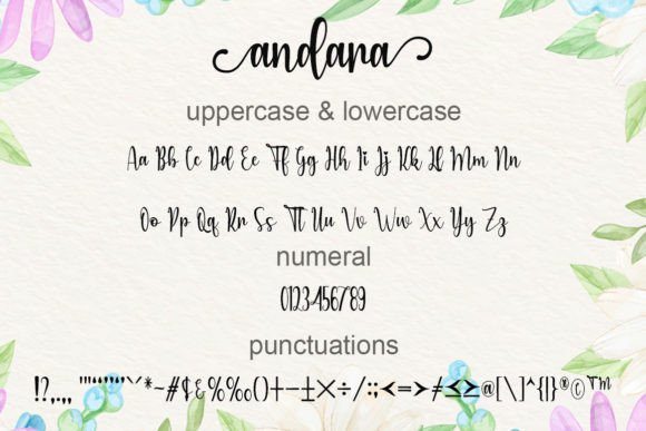 Andara Font - Preview 4