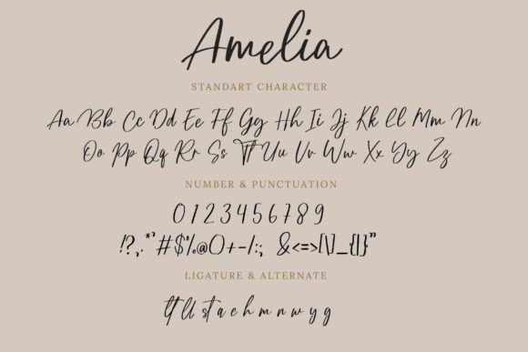 Amelia Font - Preview 5