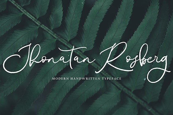 Brinleigh Font - Preview 2