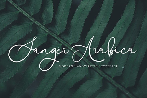 Brinleigh Font - Preview 4
