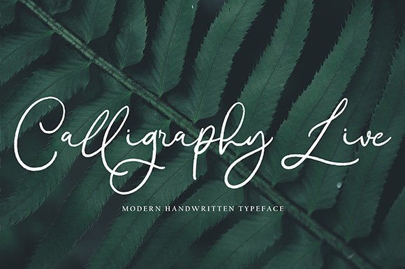 Brinleigh Font - Preview 6