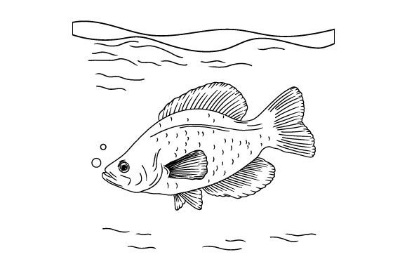 Illustration De Craie Dessinée à La Main | Vecteur Gratuite