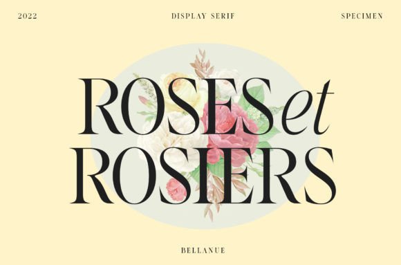 Bellanue Font - Preview 6