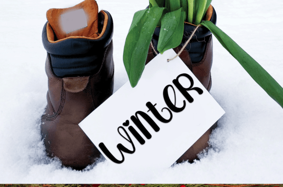Snow Flower Font PNG with transparent background - Preview 2