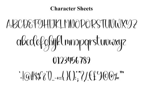 Bingo Signature Font - Preview 4